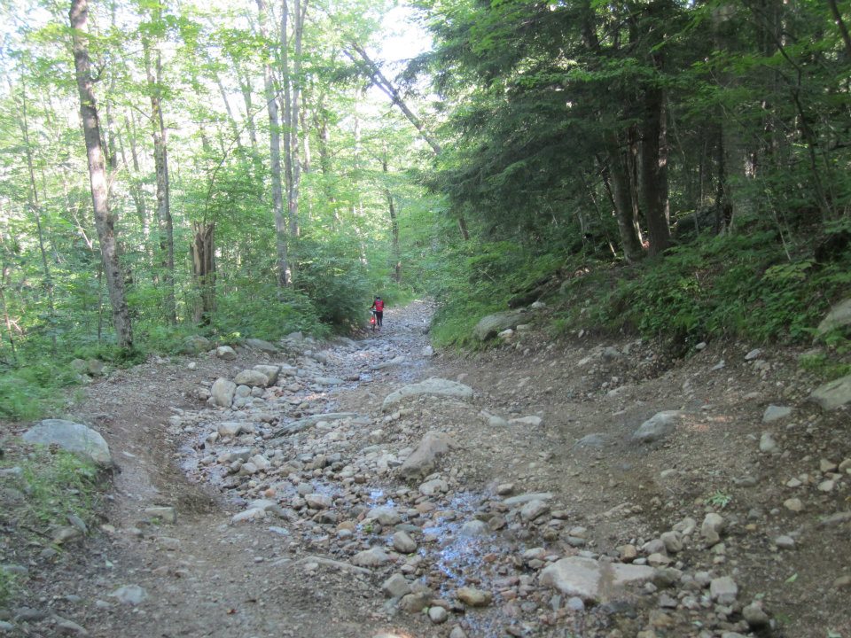 GMDC rough road.jpg